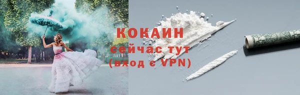 хмурый Осинники