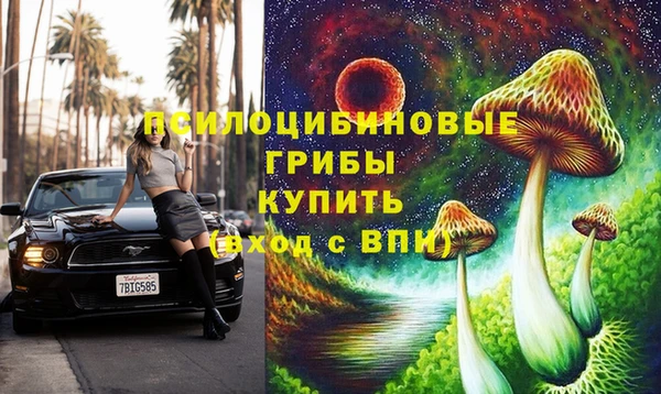винт Осташков
