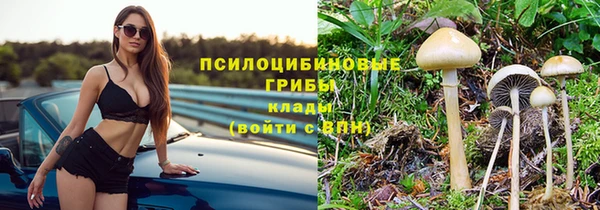 герыч Нягань
