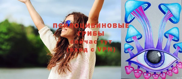 винт Осташков