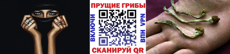 Галлюциногенные грибы мухоморы  KRAKEN ССЫЛКА  площадка официальный сайт  Кирс 