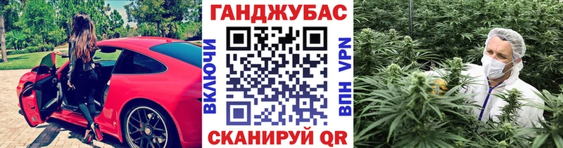 Конопля сатива  купить наркотик  Кирс 